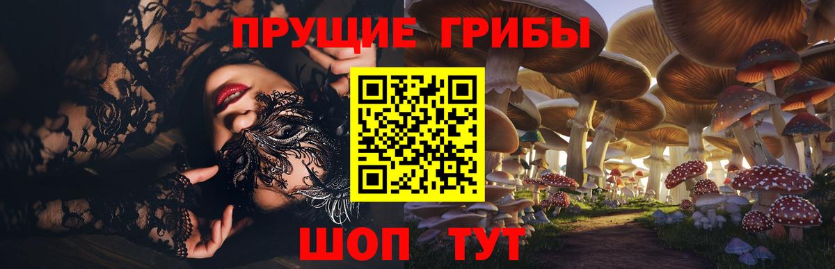 Борисоглебск  Псилоцибиновые грибы Psilocybe  Вход с VPN  Галлюциногенные грибы Psilocybe 