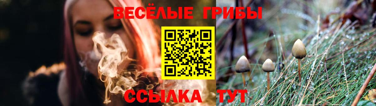 Псилоцибиновые грибы MAGIC MUSHROOMS Борисоглебск