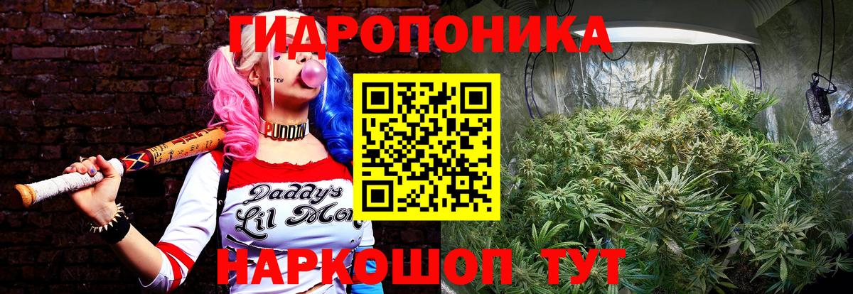 Конопля марихуана  Марихуана индика  Вход с VPN  Борисоглебск 
